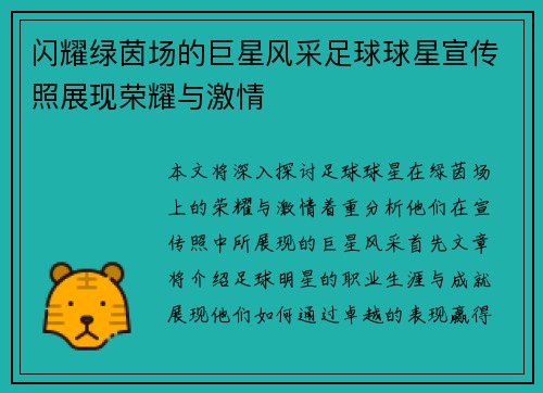 闪耀绿茵场的巨星风采足球球星宣传照展现荣耀与激情
